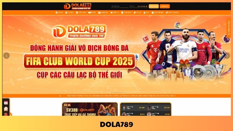 Tổng quan về nhà cái Dola789