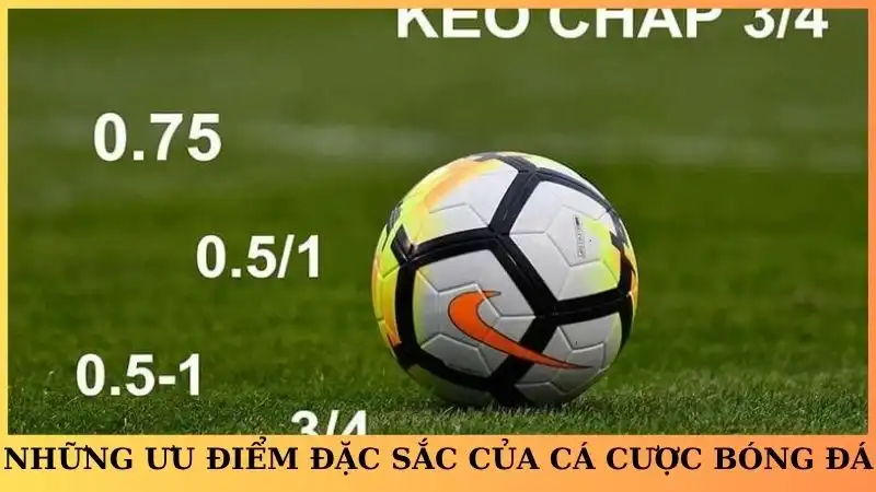 Những ưu điểm đặc sắc của cá cược bóng đá tại Dola789