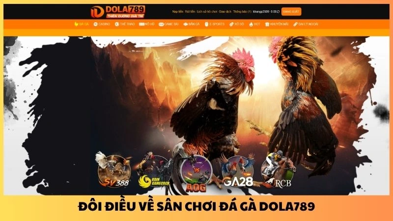 Đôi điều về sân chơi đá gà Dola789