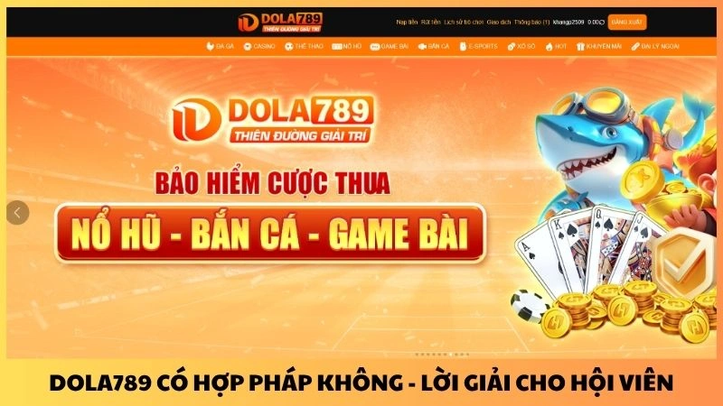 Dola789 có hợp pháp không - lời giải cho hội viên