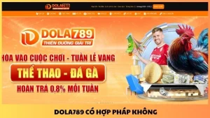 Dola789 có hợp pháp không? Giải đáp thắc mắc của người chơi