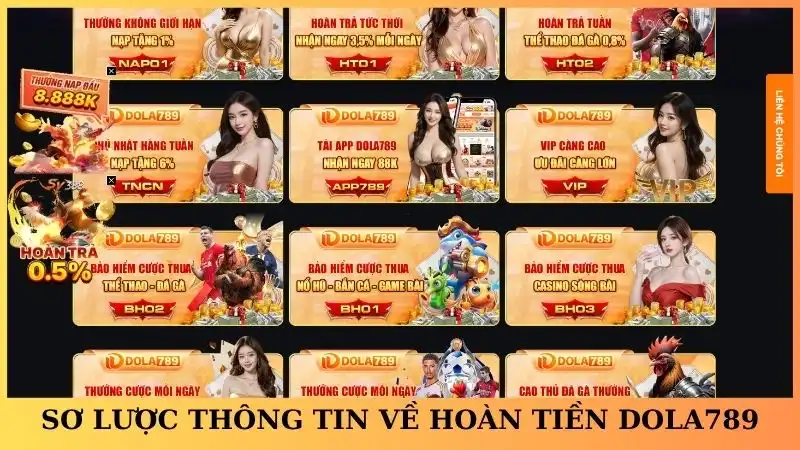 Sơ lược thông tin về hoàn tiền Dola789