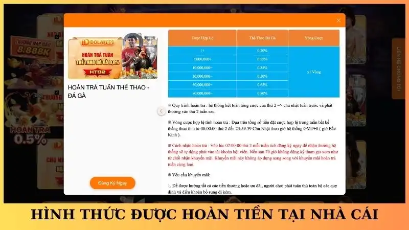 Hình thức được hoàn tiền tại nhà cái