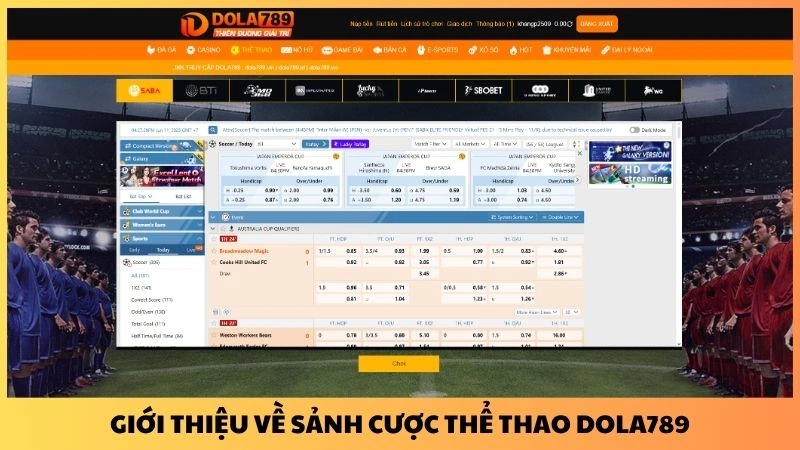 Giới thiệu về sảnh cược thể thao Dola789